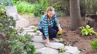 Creating Dream Garden STONE PATH🏡 MAGIC Step by Step [upl. by Atsahc60]