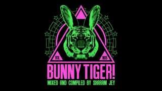 Illusionize amp Dash Groove  Keep Down Bunny Tiger Selection Vol 5 [upl. by Llednyl]