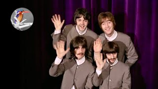 The Beatles amp The Analogues Abbey Road Medley [upl. by Yursa]