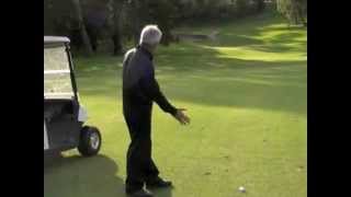 Steve Bann Golf Strategy Part 3 [upl. by Ahsitam338]