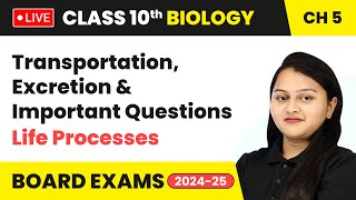 Transportation Excretion and Important Questions  Class 10 Biology Chapter 5  CBSE 2024 live [upl. by Hael]