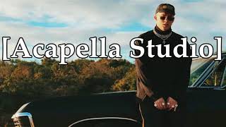 Bad Bunny  Amorfoda Acapella Studio [upl. by Handel]