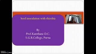 Seed inoculation with Rhizobia [upl. by Agee]