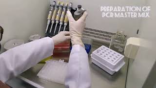 Nested PCR [upl. by Valenka]