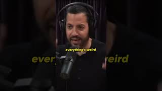 David Blaine frozen in time joerogan davidblaine magic frozen millionmingle [upl. by Claudell]