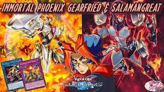 IMMORTAL PHOENIX GEARFRIED amp SALAMANGREAT JULY2023 RANKED DUEL AND DECKLIST Yu Gi Oh Duel Links [upl. by Nixon]