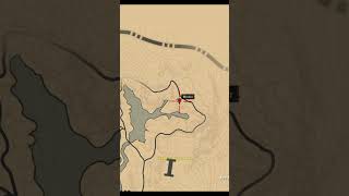 RARE Weapon Location In RDR2 shorts funny rdr2 [upl. by Attesoj]