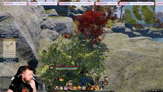 Ashes of Creation Key giveaway on Twitch Cleric LFG on Vyra [upl. by Nnainot633]