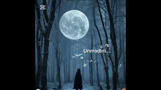 UnmadiniBhathiya N SantushCover By L Abeywardana🤍🤍 [upl. by Okajima]