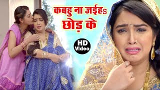 Aamrapali Dubey का सबसे दर्द भरा गीत  Dinesh Lal Yadav Nirahua Bhojpuri Sad Song [upl. by Ahsinal]