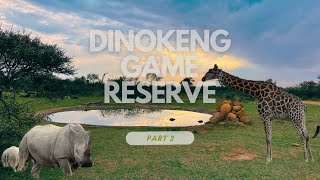 Dinokeng game Reserve Mongena game lodgeGame drive [upl. by Cheffetz]