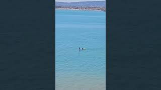 Stand up paddle board and canoe [upl. by Nossyla632]