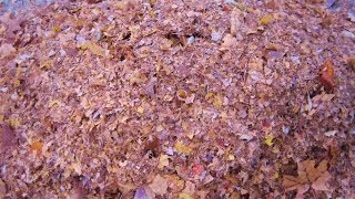 SICK OF RAKING LEAVES  TRY THIS [upl. by Clarkin]