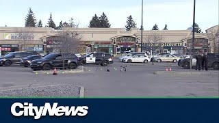 Fatal shooting in northeast Calgary Monday [upl. by Hannasus176]