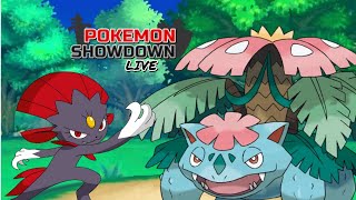 A GRANDE MURALHA DE KANTO MEGA VENUSAUR POKÉMON SHOWDOWN NATIONAL DEX OU [upl. by Kieffer]