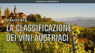 La classificazione dei vini austriaci  Tannico Flying School [upl. by Marj464]