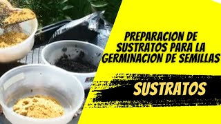 Preparacion de Sustratos para la Germinación de semillas y uso de Turba [upl. by Anuahsar]