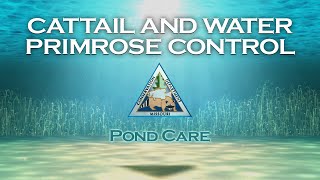 Pond Care 114 Cattail and Water Primrose Control [upl. by Amles]