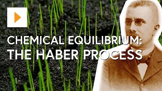 Chemical Equilibrium The Haber Process [upl. by Napra]