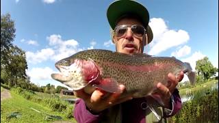 Simple Fly Fishing Tips for Catching Trout [upl. by Blankenship]