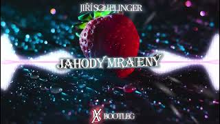 Jiří Schelinger  Jahody Mražený BOHAX BOOTLEG [upl. by Ridgley]