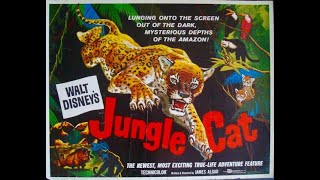 Dan Does Disney 48  Jungle Cat 1960 [upl. by Opiuuk174]