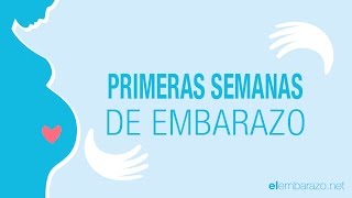 Primeras semanas de embarazo  El embarazo semana a semana [upl. by Gerek]