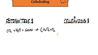 Organiske forbindelser dannes i fotosyntesen [upl. by Ahseinaj]