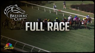 Breeders Cup 2024 TAA Stakes Full Race  NBC Sports [upl. by Yereffej]