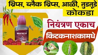 brofreya insecticides  ब्रोफ्रेया कीटकनाशक brofreya insecticide piindustriesltd ब्रोफ्रेया [upl. by Robenia741]