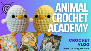 My review of the Animal Crochet Academy [upl. by Ause89]