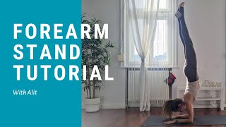 Forearm Stand  Pincha Mayurasana  Tutorial [upl. by Warfourd]