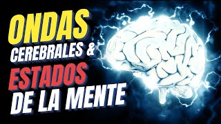 ESTADOS DE LA MENTE y ONDAS CEREBRALES  Hipnosis amp Meditación  Frecuencias Cerebrales y más [upl. by Kylah]