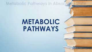 Integration of Metabolism  2nd Year MBBS  Lecture 01 [upl. by Rosanna346]