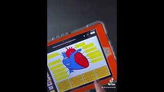 Label the heart digital drag and drop activity [upl. by Netneuq869]