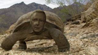 Mitch McTurtle [upl. by Darbie]