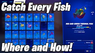 ALL 28 FISH LOCATIONS  How to Catch Every Fish in Fortnite Chapter 3 Season 1 Guide  Step By Step [upl. by Drofdeb]