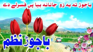 Da Bajaur Nazam  Bajaur Ta ba zo Janana bya pe fsarly dy  Bajaur Nazam  by Nizam Bajaur Chinar [upl. by Oznarol]