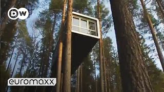 Tree House in Sweden Do you want to sleep in this Design Tree House Hotel  euromaxx [upl. by Eceirahs]