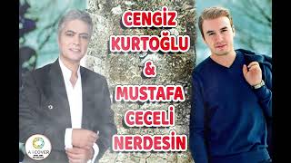 Cengiz Kurtoğlu  Mustafa Ceceli NERDESİN [upl. by Meelak]