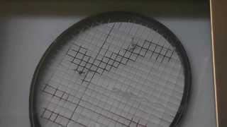 Miloslav Mecirs Racket [upl. by Maziar]