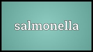 Salmonella Meaning [upl. by Floridia]