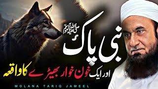 Nabi SAW ki Mohabbat Aik Bherdia Ka Waqia 2024  Maulana Tariq Jameel [upl. by Dilahk794]