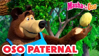 Masha y el Oso 2024 🐻👱‍♀️ Oso paternal 😇🎀🐼 1 hora 🤗 Dibujos animados 🎬 Masha and the Bear [upl. by Shane614]