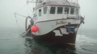 Pêche au hareng à la senne  Herring fishing Blanc Sablon BasseCôteNord du Québec [upl. by Garek]