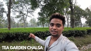 Chalsa Tea Garden  Malbazar Hanuman mandir view  Road trip vlog video by Rudra de [upl. by Anait795]