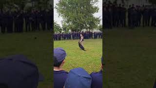 Demostracion de disciplina en la Escuela de Cadetes del Servicio Penitenciario Bonaerense perros [upl. by Lytle798]