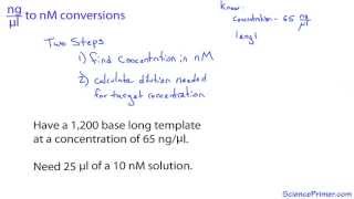 nanogram per microliter to nanomolar conversion [upl. by Gabriella]