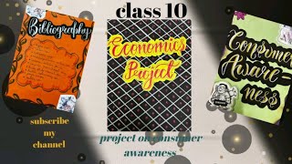 Consumer awareness projectclass 10 economics projectFun Arts With Me [upl. by Edmonda]