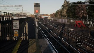 Train Sim World 420241126190113 [upl. by Gainer]